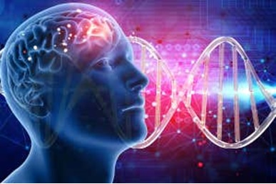 ارتباط بین هوش و ژنتیک