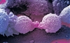 تست های ژنتیکی پیش بینی کننده ی سرطان