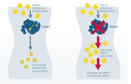 آنالیز جهش های تیوپورین متیل ترانسفراز (TPMT)